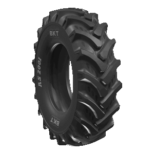 AS 2001 TT (R1)16.9-28 12PR